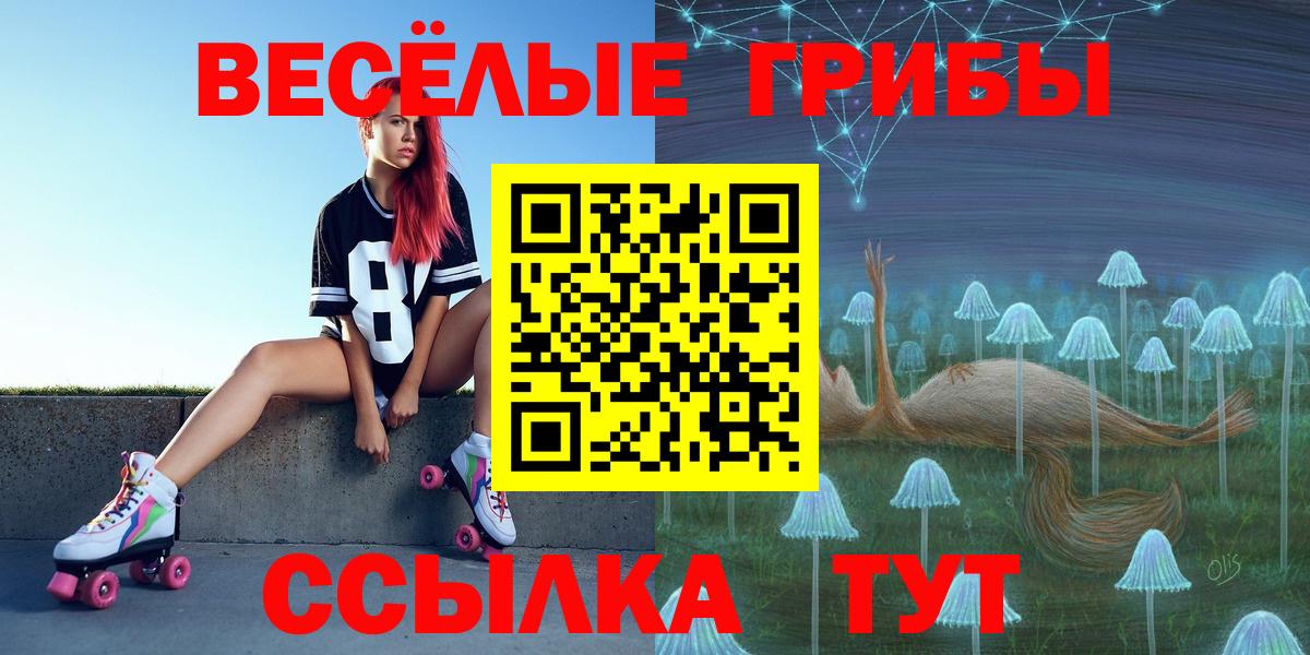 Псилоцибиновые грибы Psilocybine cubensis Назарово